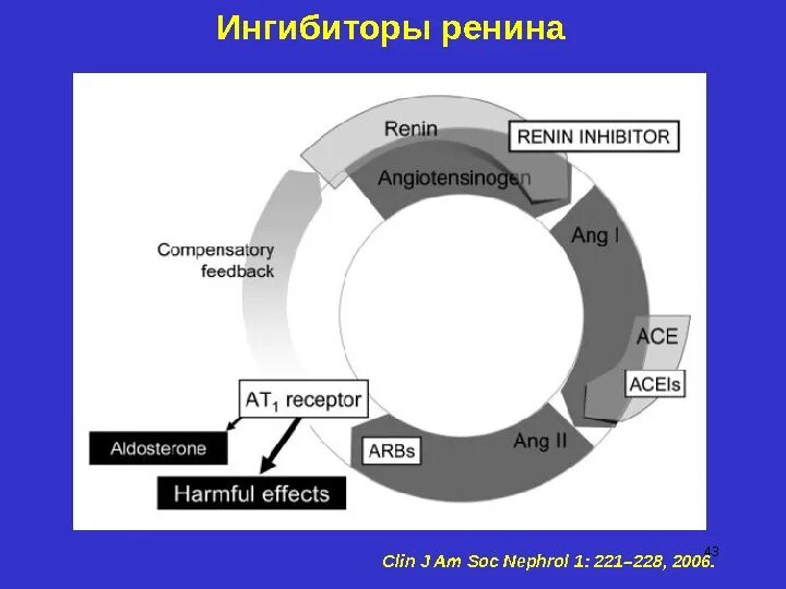 Прямые ингибиторы ренина. Прямой ингибитор ренина препараты. Ингибиторы секреции ренина. Прямые ингибиторы ренина показания. Прямой ингибитор