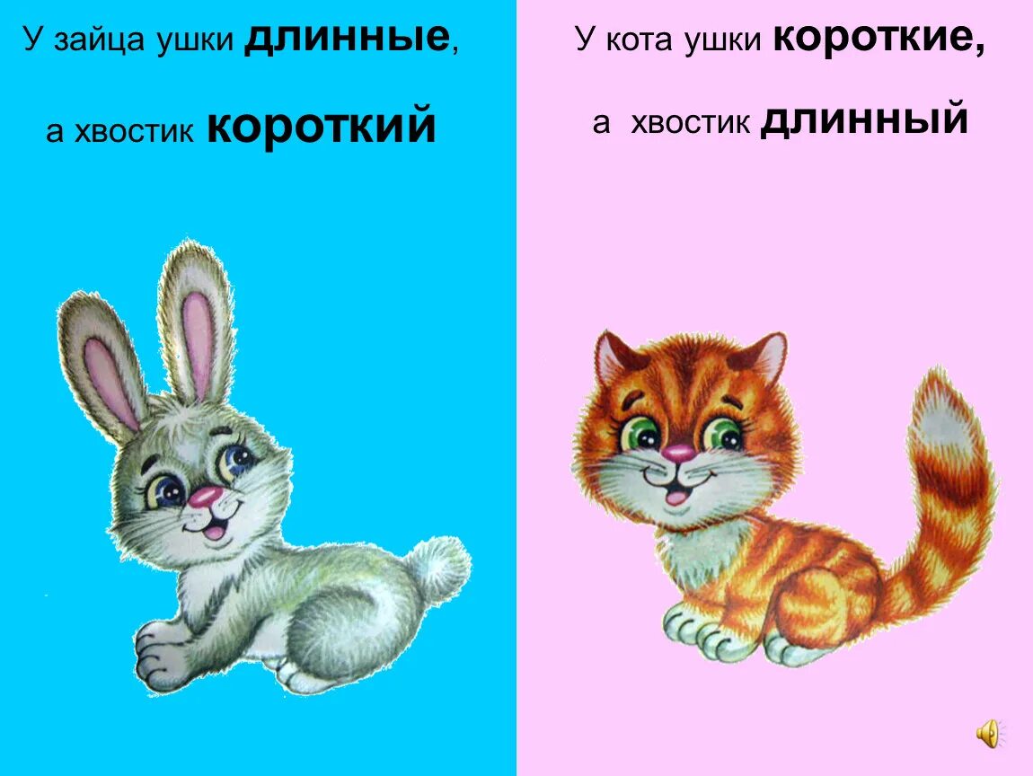 Короткий - длинный. Понятия длинный короткий. Длинный короткий для малышей. Длинный короткий для дошкольников. У зайца хвост короткий а уши