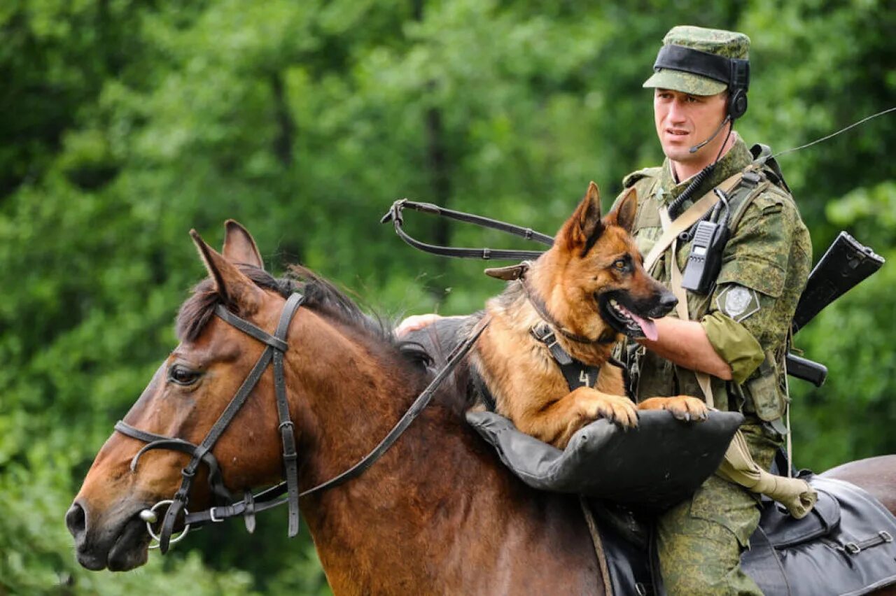 Военный дозор. Пограничник на лошади. Пограничные войска. Пограничники России. Военный пограничник.