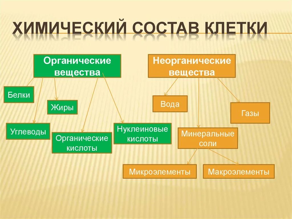 Неорганические соединения состоят из. Химический состав клетки неорганические вещества функции. Химический состав клетки органические вещества. Состав клетки неорганические вещества органические вещества. Химический состав клетки органические и Минеральные вещества.