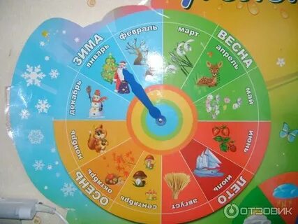 Модель неделя месяц