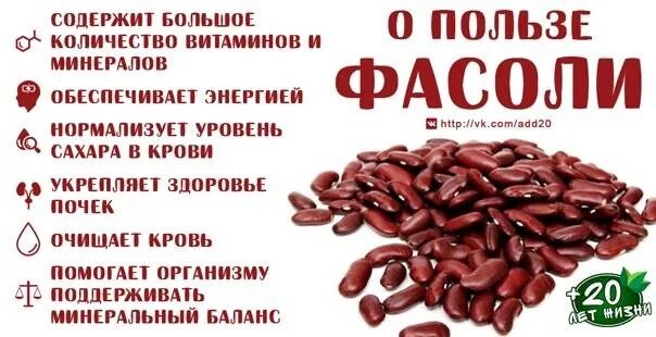 Стрюсковая фасо. Чем полезна фасоль. Полезные вещества в фасоли. Чем полезна вареная фасоль для организма. Спаржевая фасоль витамины.