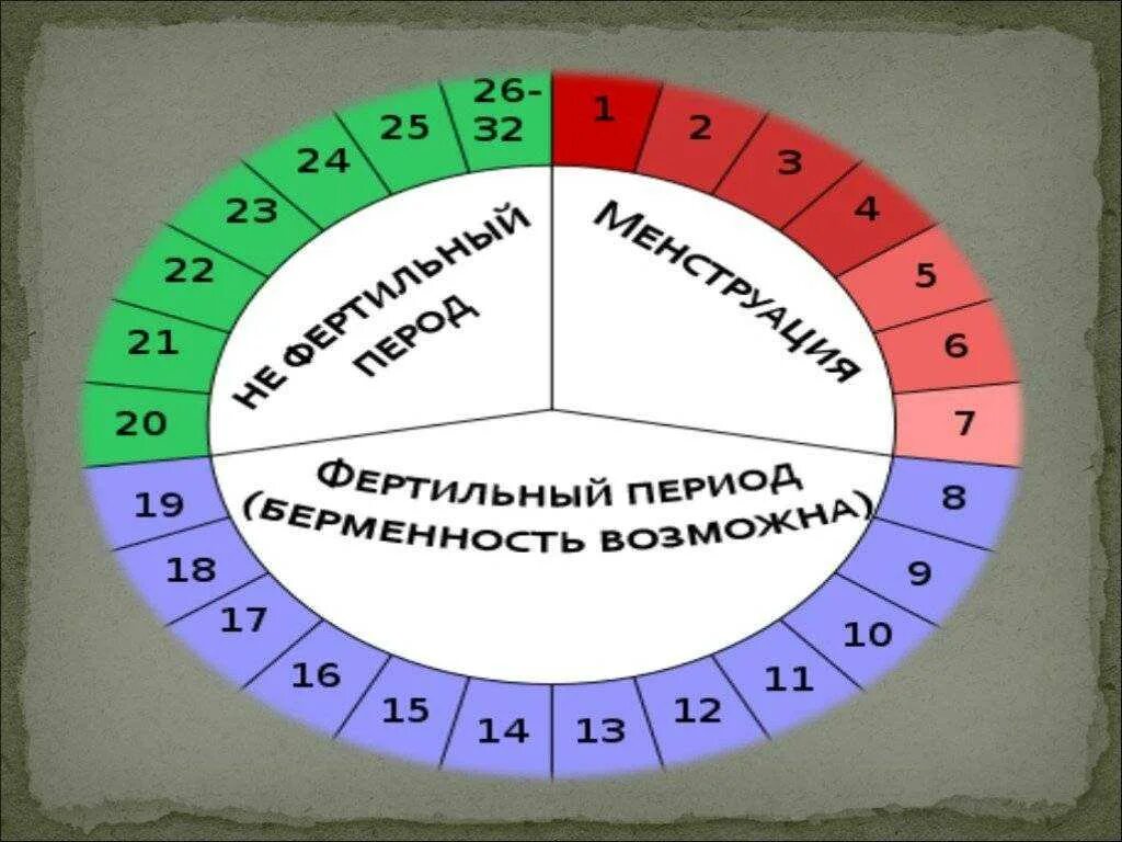 Колендарныйиетодконрацепции. Календарный метод предохранения. Способы контрацепции календарный метод. Фертильные дни. Мужская овуляция