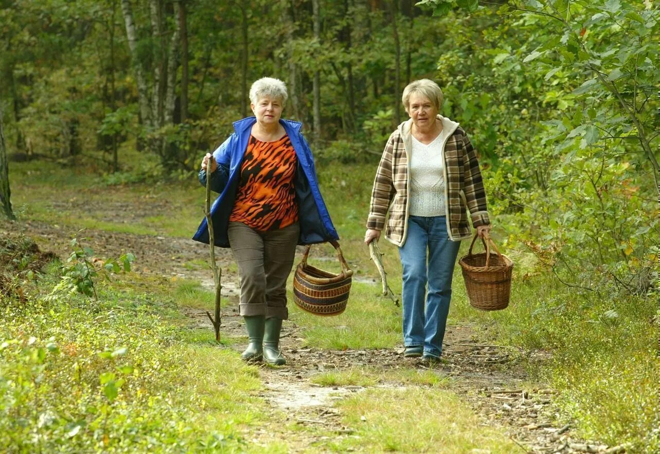 сбор грибов. в лес за грибами. яркая одежда в лесу. грибник пешеход. грибник пешеход.