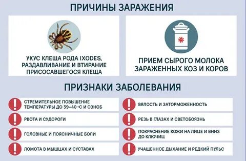 Симптомы клещевого