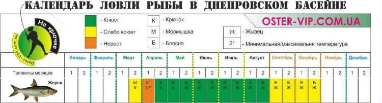 Календарь клева жереха. Клева рыбы на июнь месяц. Жерех время клева. Советский календарь ловли рыбы. Клев миасс