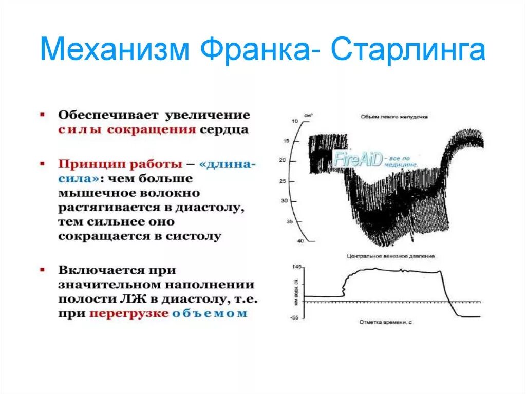Механизм франка старлинга. Закон сердца франка старлинга. Механизм франка стерлинга. Рефлекс франка старлинга. Рефлекс франка старлинга.