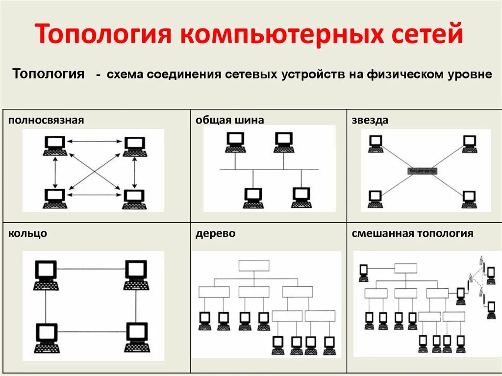 Топология локальных сетей шина звезда кольцо. Топология сети (общая схема соединения компьютеров в локальные сети):. Топология локальных сетей таблица шинная топология. 5.1. Схема шинной топологии. Типы сетевых подключений