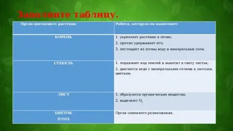 Таблица организма растений