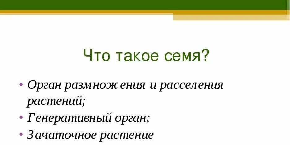 Семя. Что такое семя краткое определение. Семена это определение. Семя это в биологии 6 класс определение кратко.