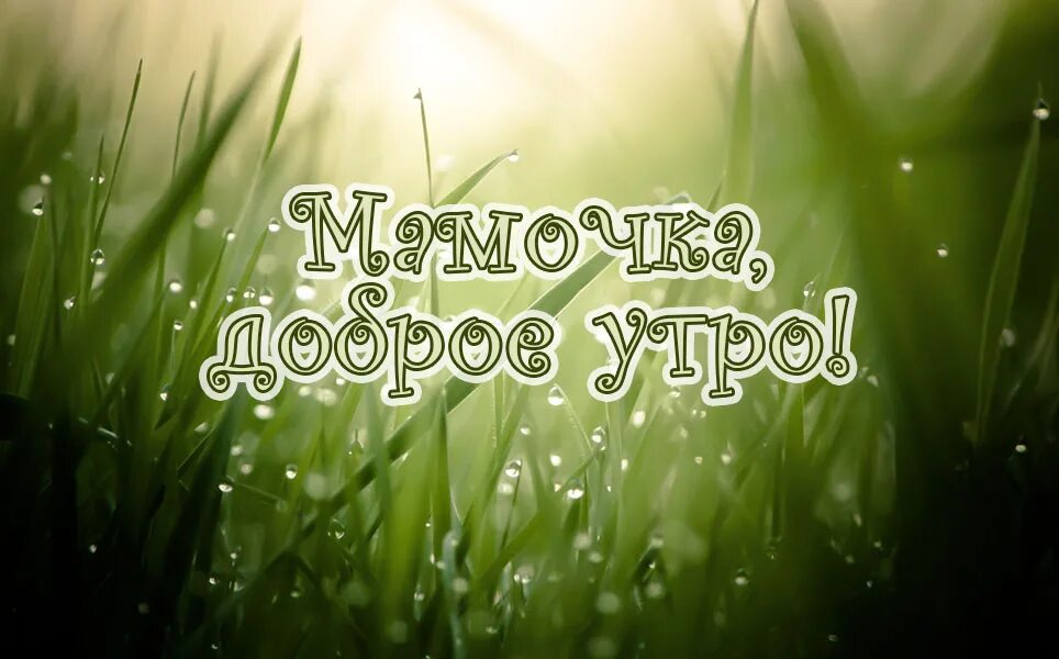 Стихи добро утром мама. Доброе утро мама. Доброе утро мамуля. Доброе утро мамочка. С добрым утром МАММАМА.