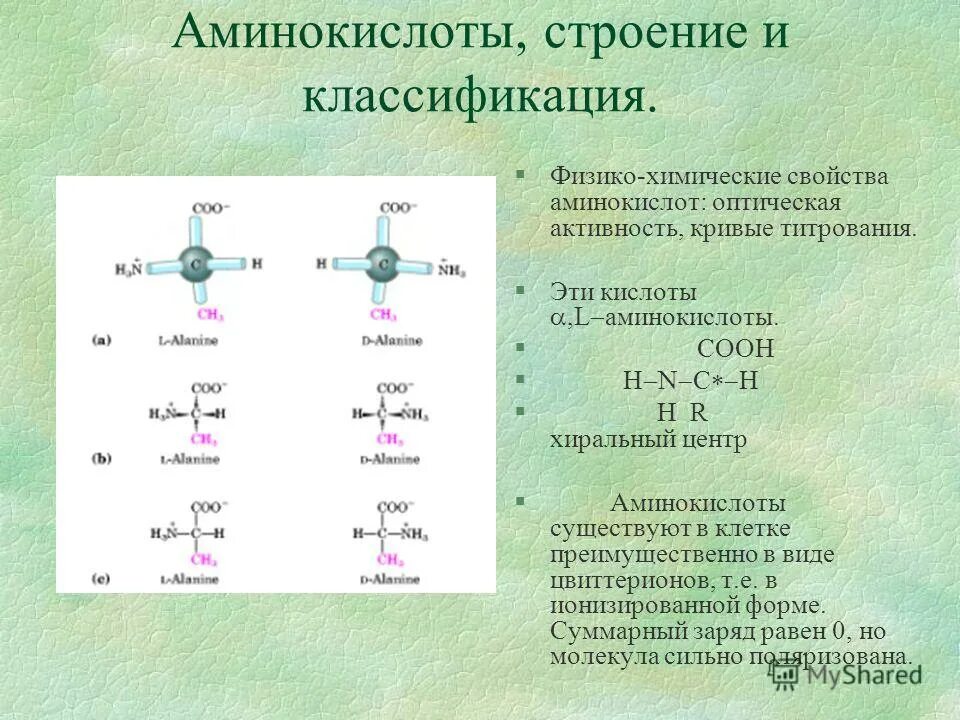 Формулы аминокислот входящих в состав белков. Строение альфа аминокислот. структура природных аминокислот. природные аминокислоты строение. структура аминокислот биохимия.