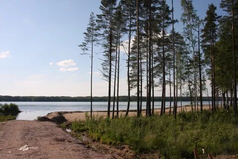 Цвелодубово выборгского