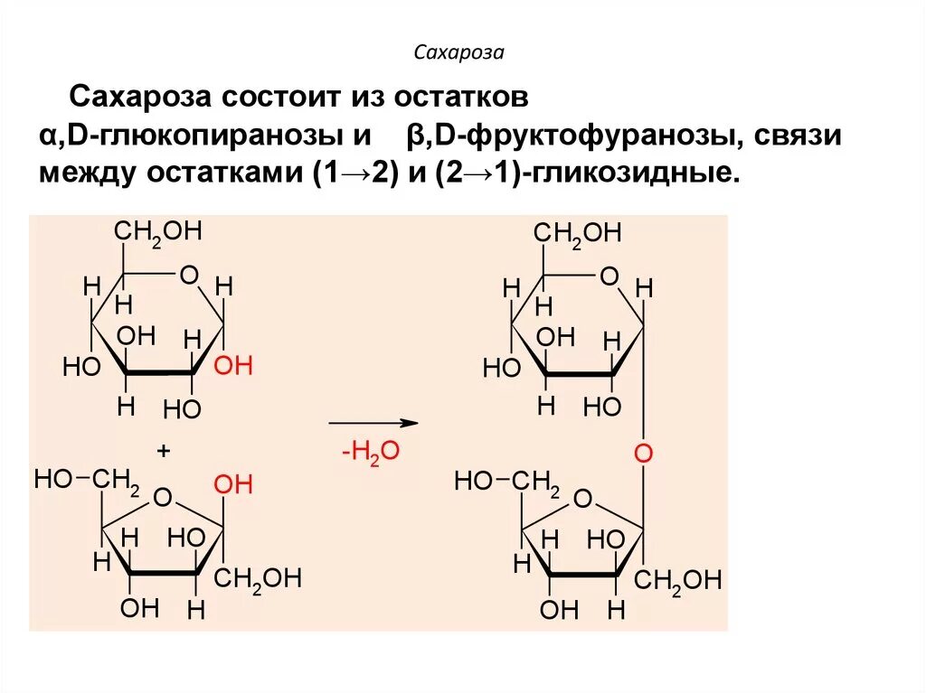 Строение сахарозы формула. Сахароза структур формула. Циклическая формула дисахаридов- сахарозы. Сахароза структурная формула. Сахарный тростник формула