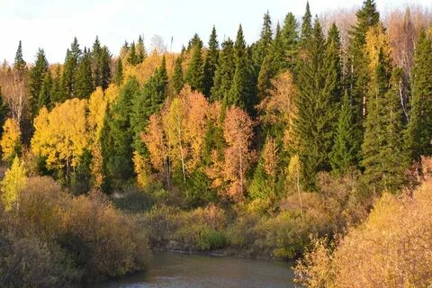 Картинки КЕМЕРОВСКАЯ ОБЛАСТЬ КАКАЯ СИБИРЬ