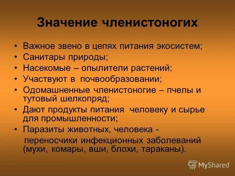 Функции членистоногих. Особенности членистоногих. значение членистоногих в природе. значение членистоногих в природе и жизни человека. тип членистоногие значение.