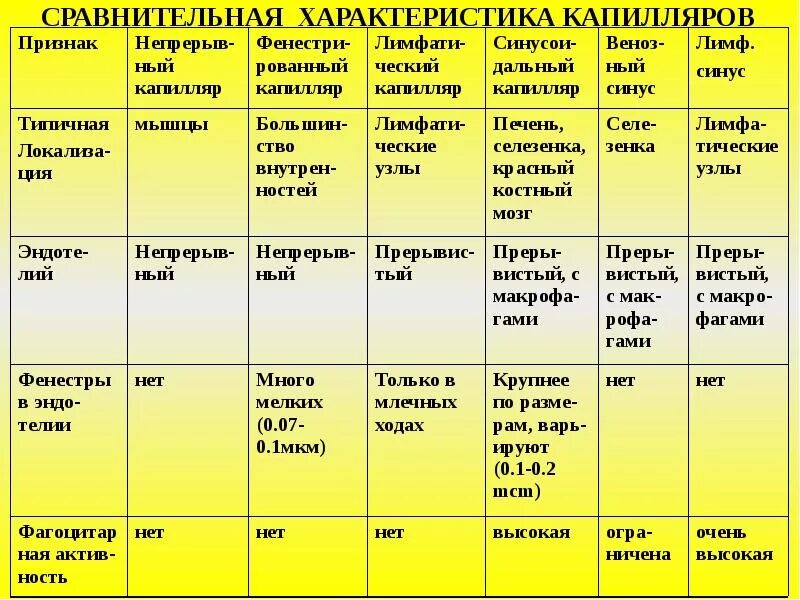 Сравнительная характеристика артерий вен и капилляров. Характеристика вен и артерий таблица. Сравнительная таблица кровеносные сосуды. Сравнительная таблица артерий и вен.