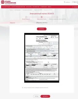 Страхование отчетности