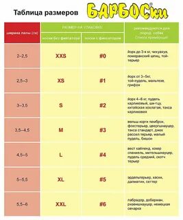 Ботинки для собак размеры
