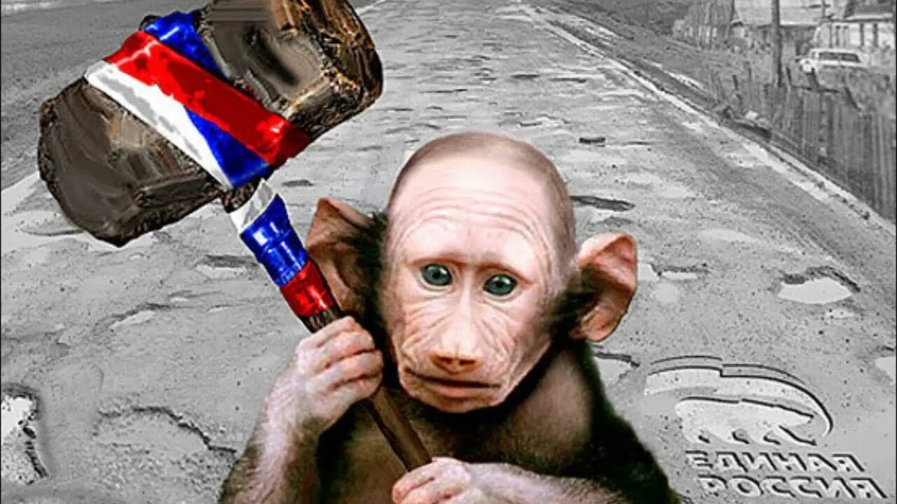 Страна тупых