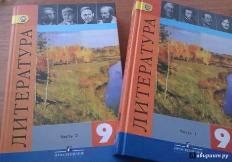 Видеоурок по литературе 9 класс