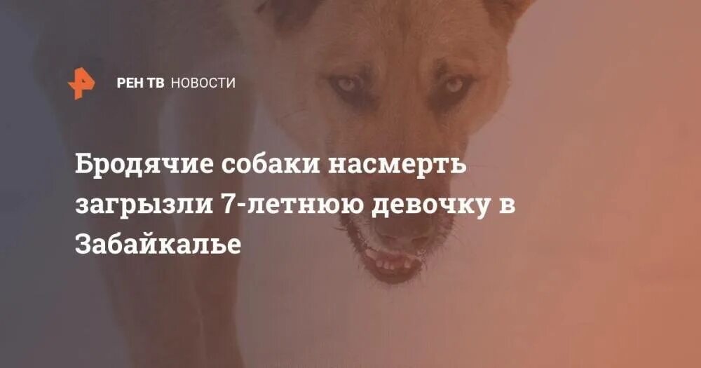 Собаки загрызли 12 летнюю девочку. Собаки загрызли насмерть. в забайкалье девочку загрызли собаки. 7 летнюю девочку загрызли собаки. собаки насмерть загрызли девочку.
