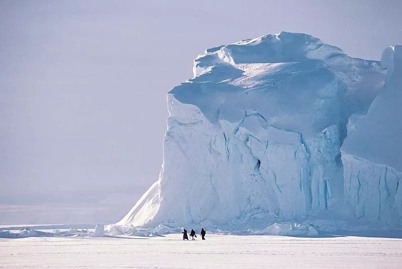 Южный полюс сайт. Южный полюс Антарктида. Южный полюс Антарктика. Северный полюс и Южный полюс. Арктическая пустыня.