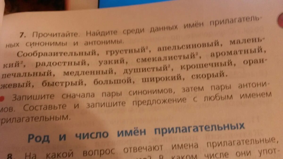 Найдите в тексте прилагательные синонимы. Предложение со словом сообразительный. Синонимы и антонимы прочитайте. Прочитайте Найдите антонимы. Прилагательных синонимы и антонимы прочитайте Найдите.