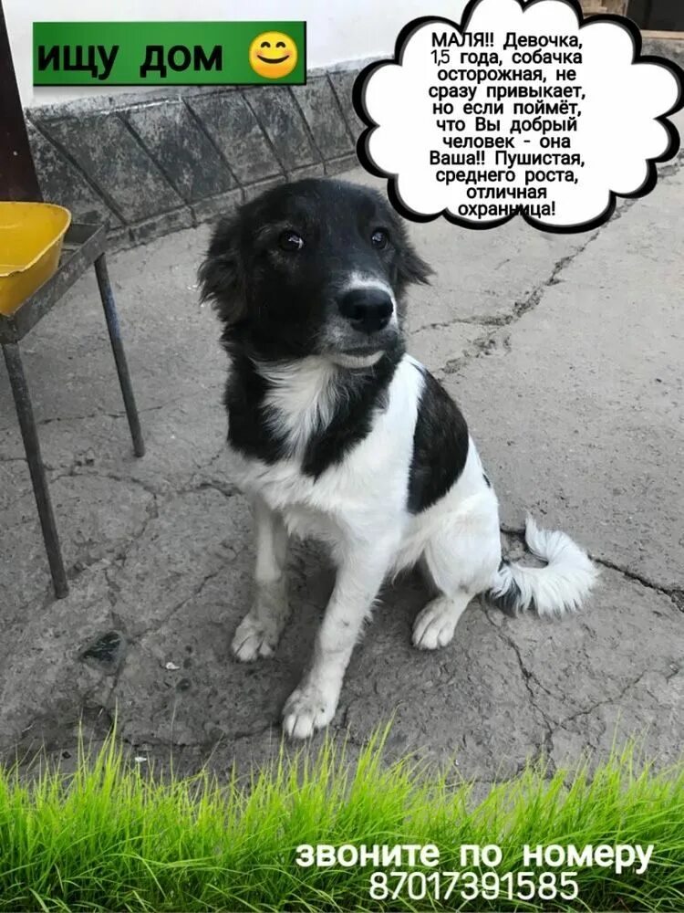 Маленькие дети. Стишки про инопланетян. Красивые младенцы. Маля имя. Маля имя.