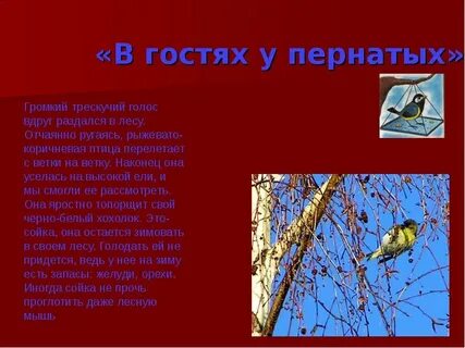 Диктант пернатые