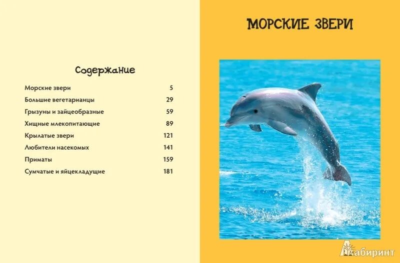 Каких животных ты знаешь. Морские животные список. Детская энциклопедия млекопитающие. Энциклопедия млекопитающие Махаон. Атлас необычных животных оглавление.