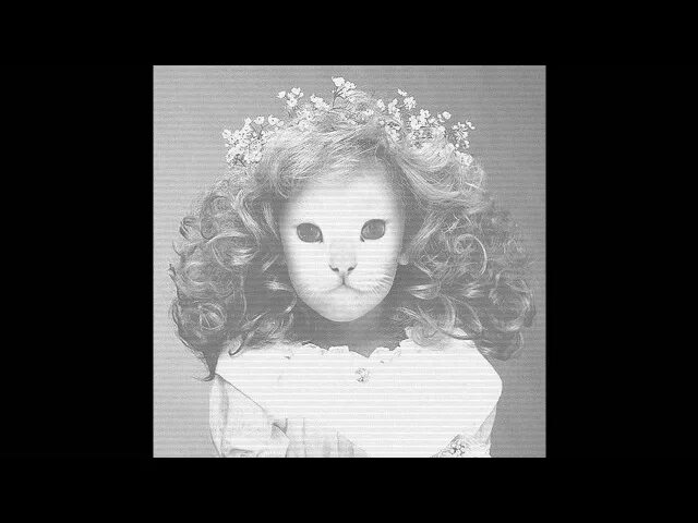 Mr kitty mother mary перевод. Kitty смысл. Mr. After dark обложка. Kitty группа.