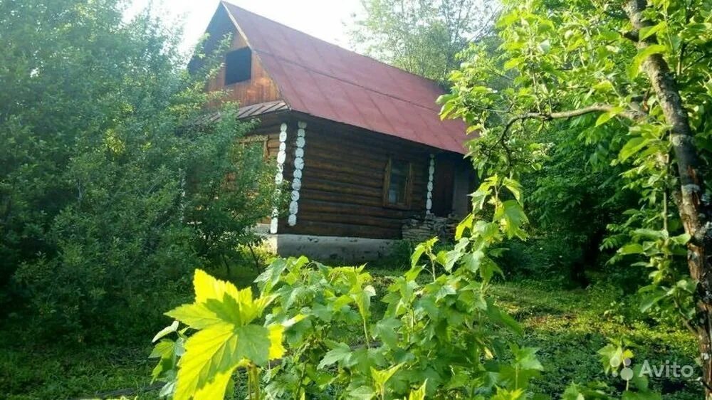 Сад белорецк. Белорецк дача Родник. Осетровский пруд Белорецк база. Сад дача Иглинский район. Район Белорецкий дачи.