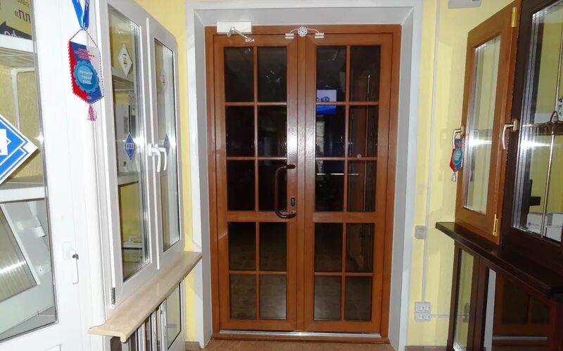 Пластиковые межкомнатные двери рехау. Межкомнатная пластиковая дверь со стеклопакетом. Двери входные балконные пластиковые. Veka дверь пвх 2100х800. Штульповая входная дверь пвх.