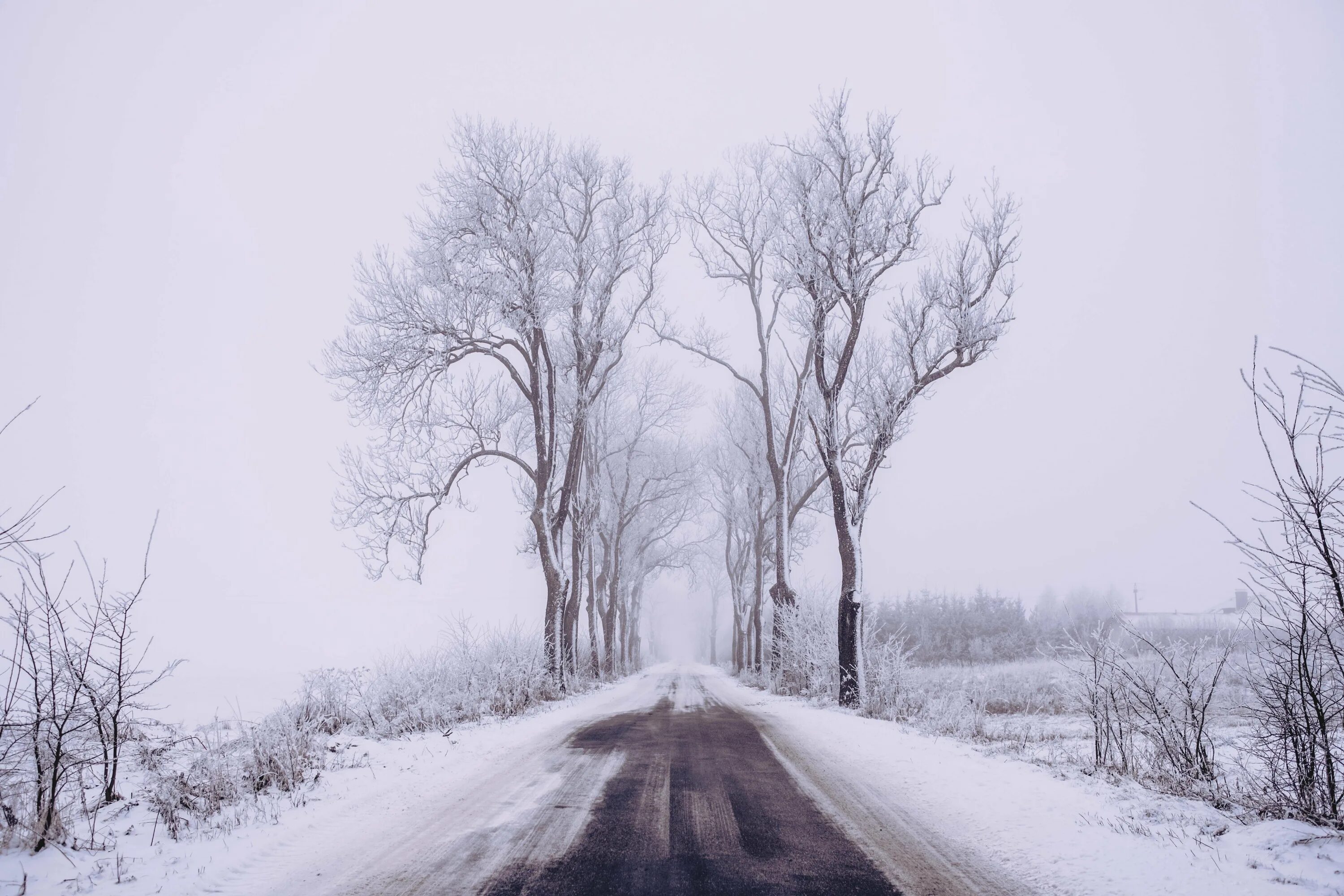 Сон дорога снег. Зимняя дорога арт. Дорога зима арт. Снег на дороге арт. Снежная мгла дорога.