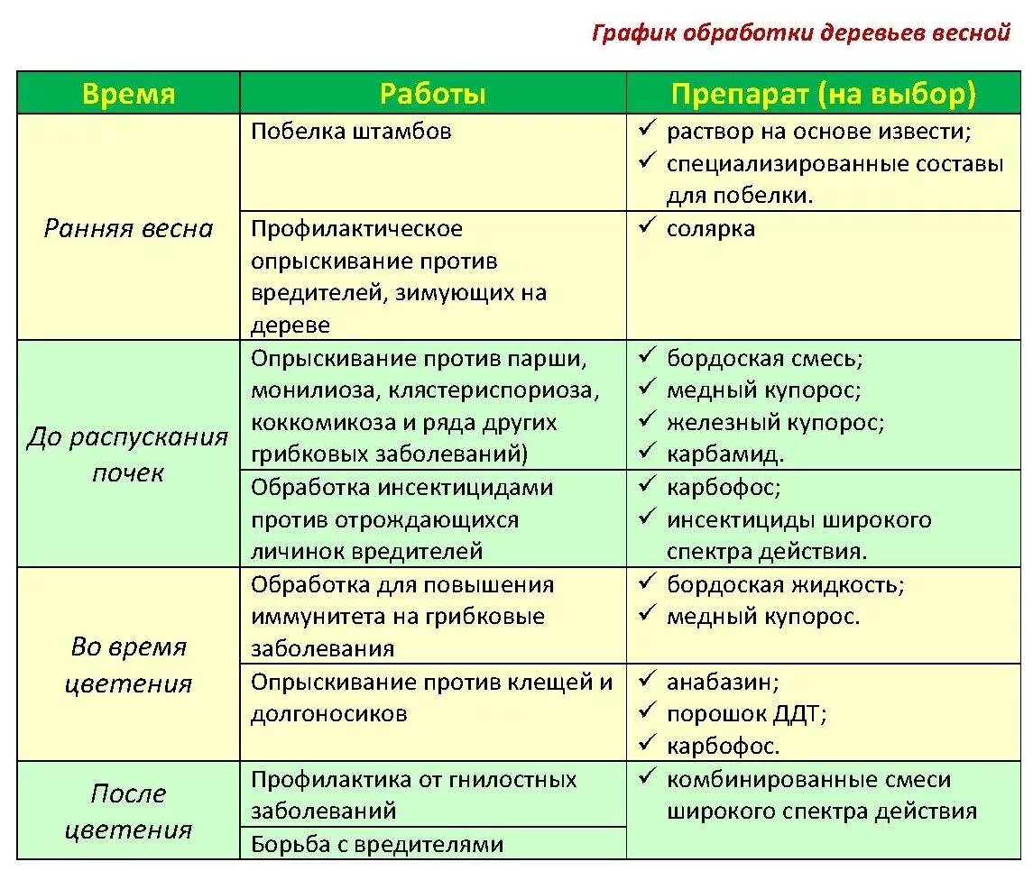 В какое время суток лучше обрабатывать. Весенняя обработка садовых деревьев от вредителей и болезней. Препараты от вредителей плодовых деревьев и кустарников. Средства для опрыскивания плодовых деревьев от вредителей весной. Средство для опрыскивания плодовых деревьев весной от болезней.