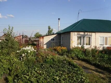 Дома в павловске алтайского края