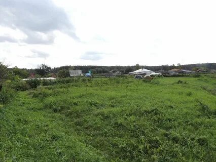 Погода в борихе