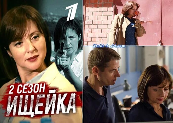 Содержание ищейки 2
