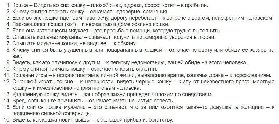 Сонник снится что будет. К чему снятся коты мужчине. Сонник к чему снится. Кошки во сне к чему снится женщине. Сонник-толкование снов котята.