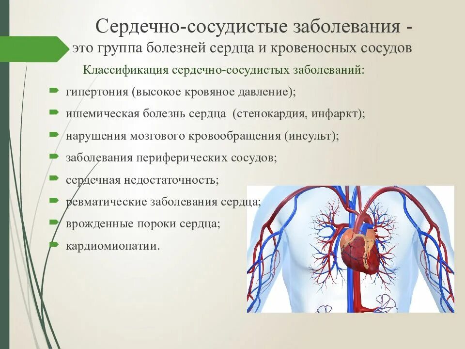 Сердечно-сосудистые заболевания. Болезни сердечно-сосудистой системы. Классификация сердечно сосудистых заболеваний. Заболевания сердца и сосудов.