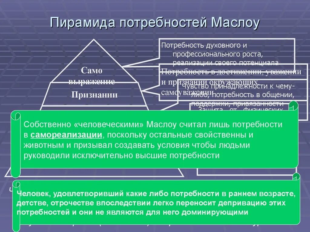 Уровень потребностей в безопасности. Пирамида потребностей Маслоу. Пирамида Маслоу 7 уровней. Потребности семьи по Маслоу. Теория мотивации по Маслоу.