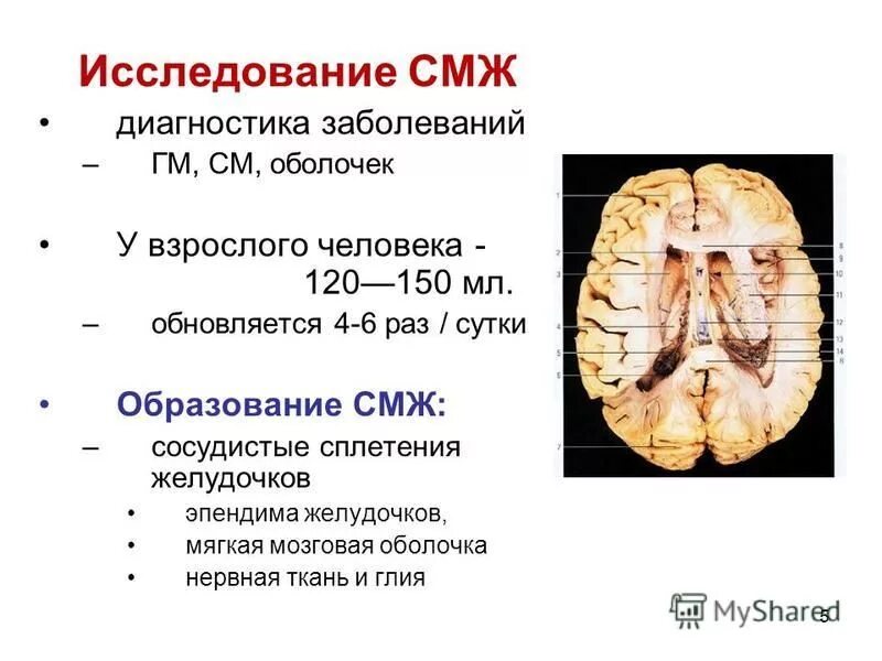 Поражение оболочек мозга