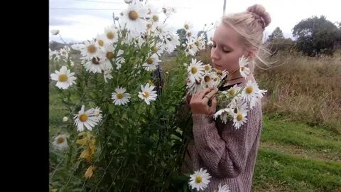 Ромашка ютуб