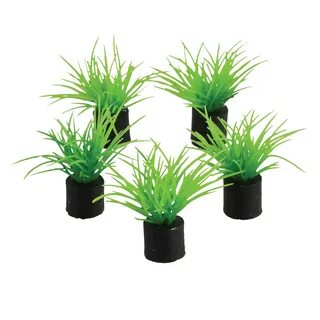 Mini plant
