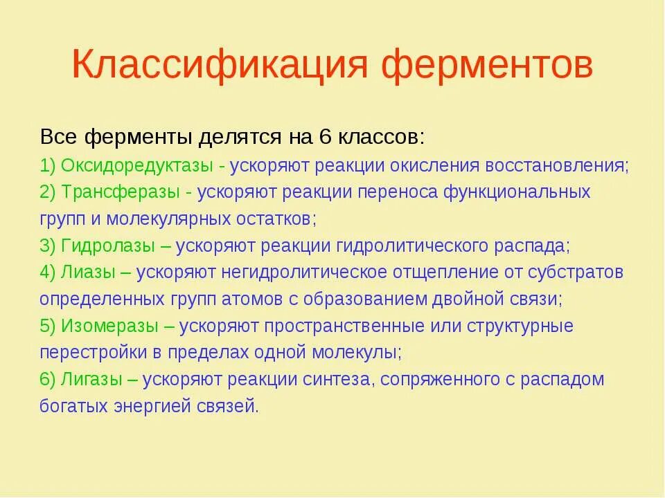 Строение ферментов. Фермент обеспечивающий. Фермент обеспечивающий. Основные ферменты участвующие в репликации днк и их функции. Ферменты это вещества ускоряющие реакции.