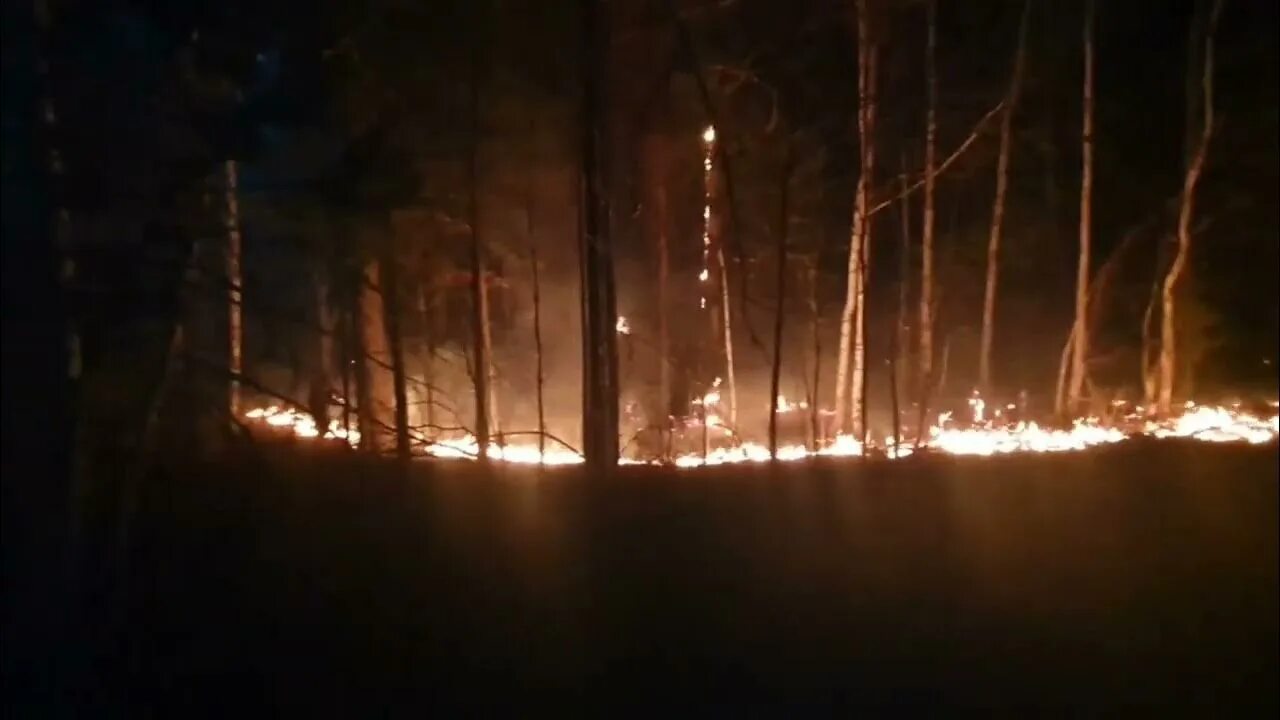 Пожары на Урале. Пожары. Пожарный Урал сгорел.