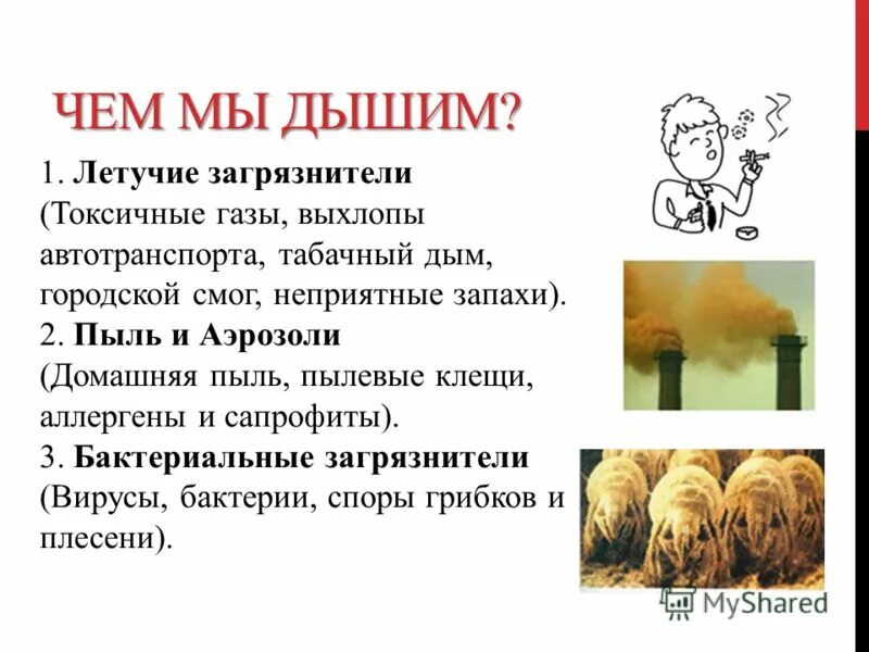 Состав воздуха при дыхании. Состав вдыхаемого и выдыхаемого воздуха таблица. Человек вдыхает кислород. Как дышит человек. Чем мы дышим кислородом.