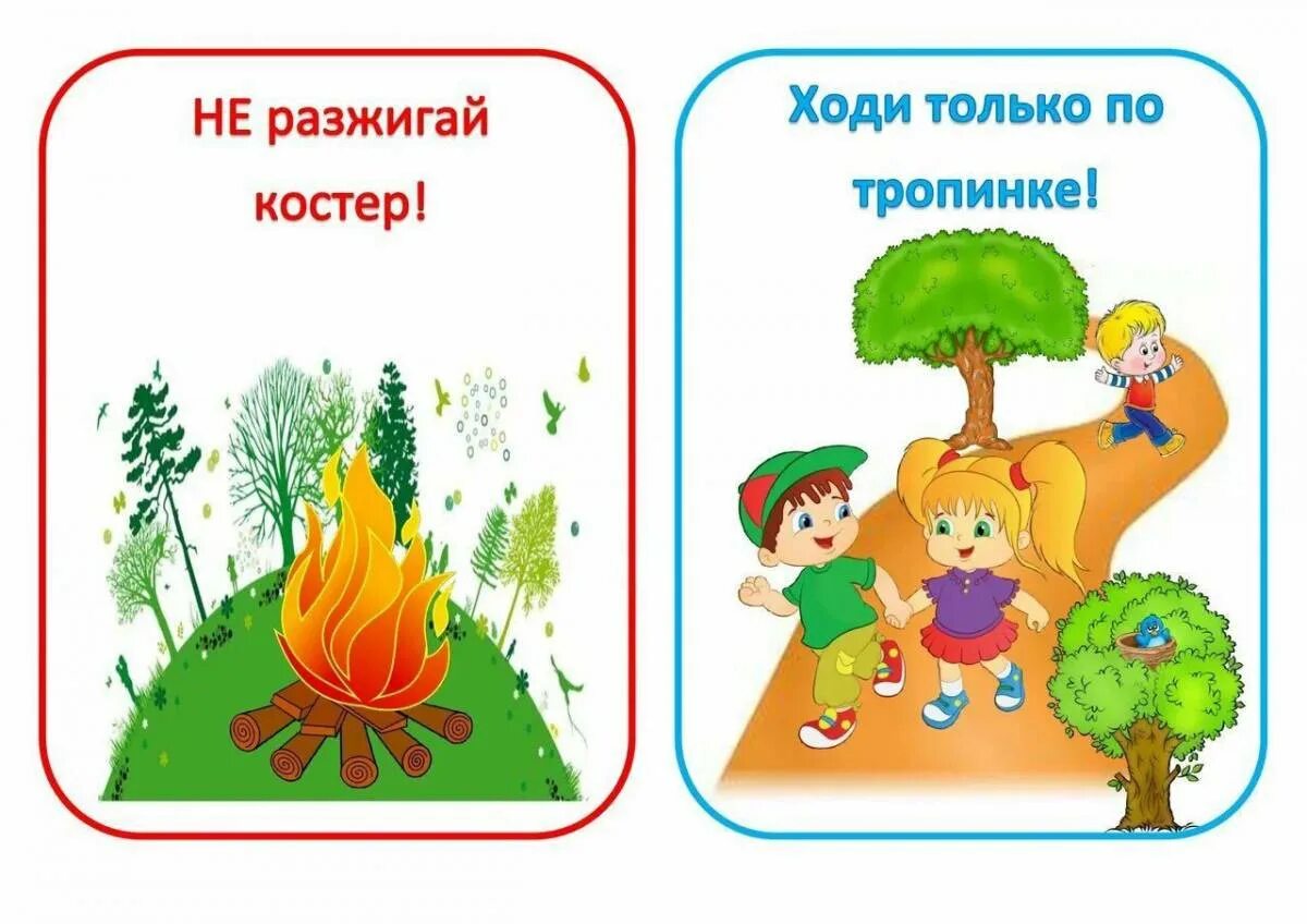 Правила поведения в природе в картинках. Правила поведения на природе. Экология для детей дошкольного возраста. Поведение в природе для дошкольников. Правила поведения на приро.