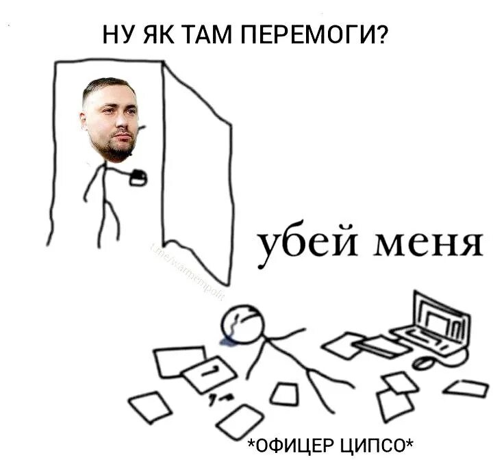 Афаб это